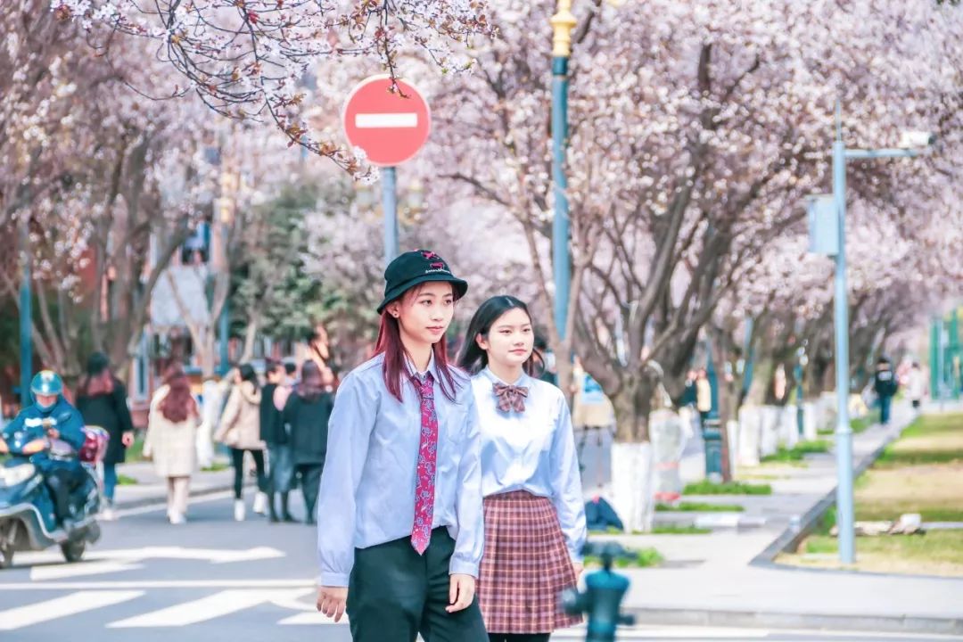 西南民大值得去读吗,西南民大是什么级别