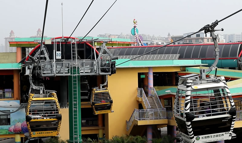 广州一日游长隆野生动物园日记,广州长隆野生动物世界参观指南