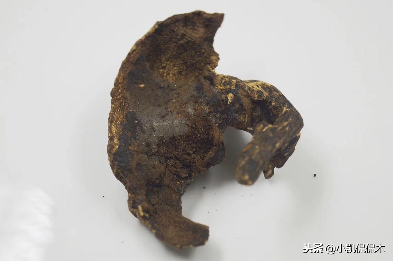 海南沉香鉴别方法图解,如何收藏海南沉香