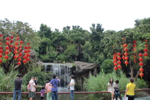 深圳16大免费公园荔枝公园,来深圳一定要看看天空之城