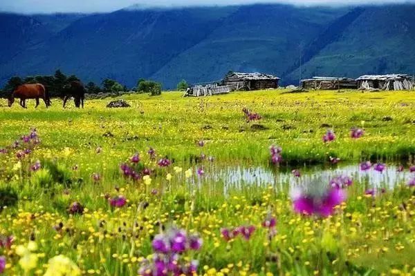 我们永远在一起歌曲,我们永远在一起男女对唱完整版