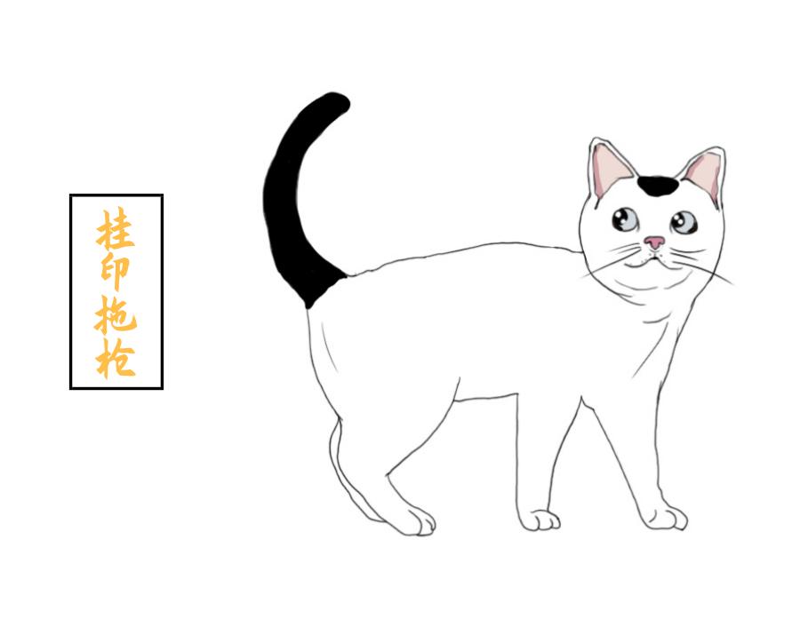 你养的猫在古代都叫什么名字,想知道你家猫在古代是什么样子吗