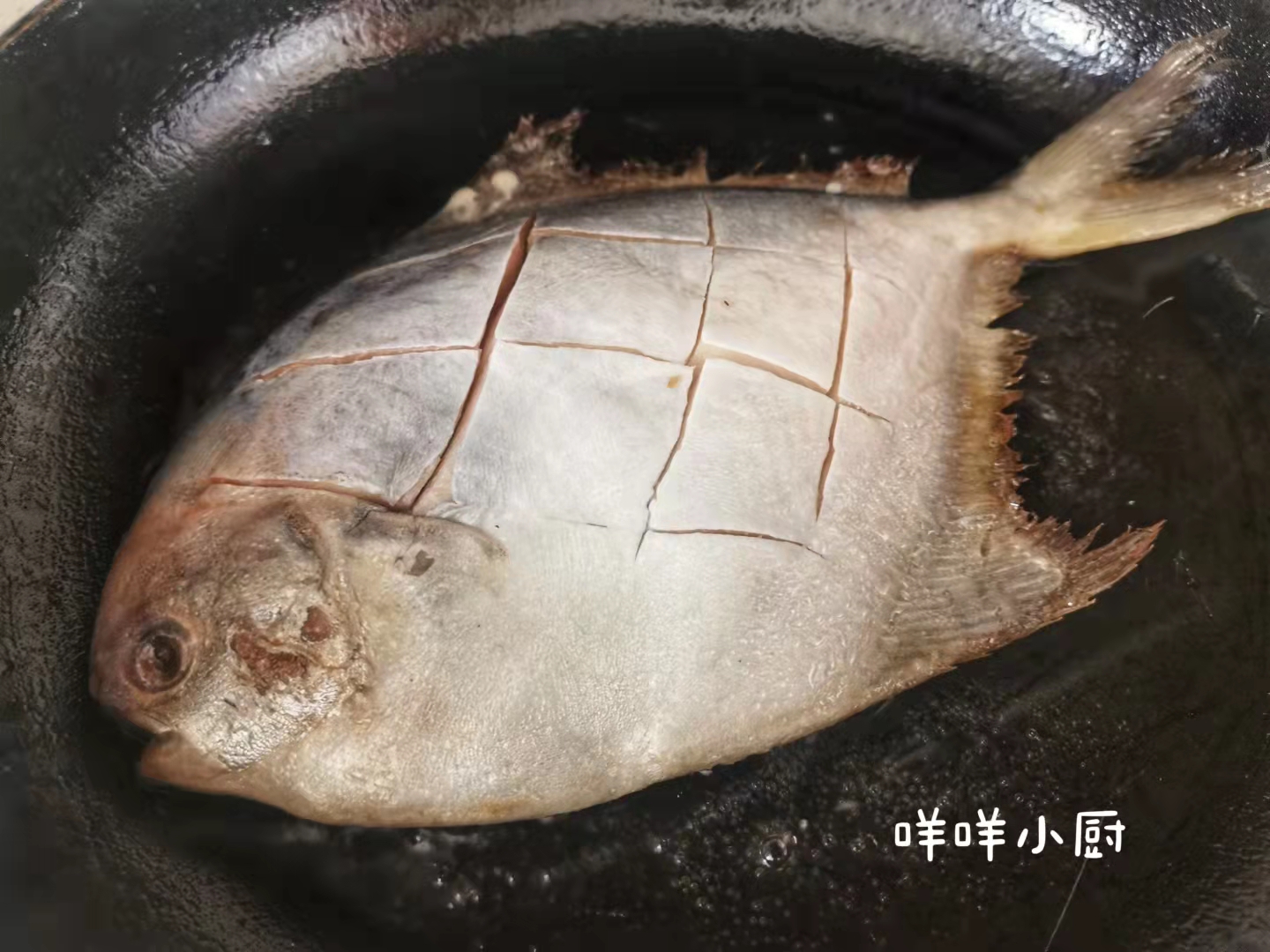 鲳鱼低脂高蛋白,哪个种类的鲳鱼好吃又营养