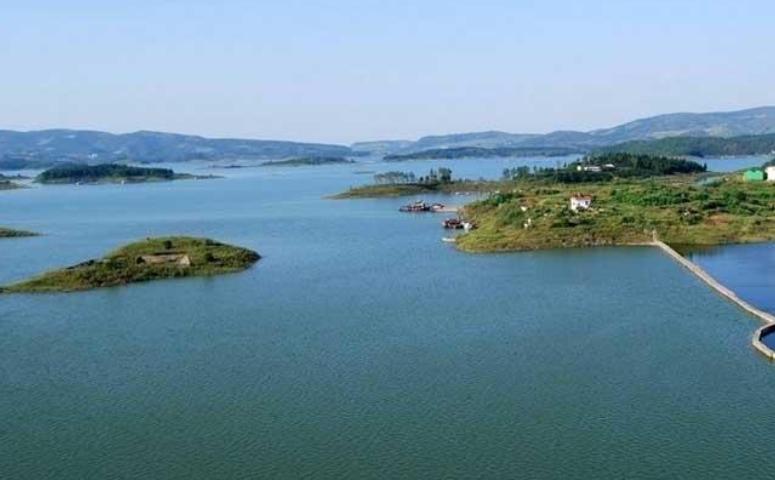 为什么说养殖赚不到钱,为什么搞养殖的朋友都说不挣钱