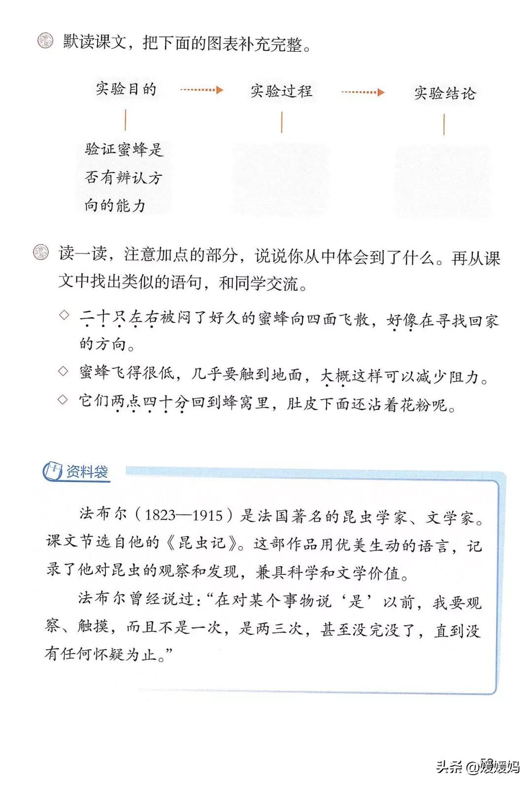 人教版三年级下册语文课本知识点,三年级语文下册课本66页续编故事
