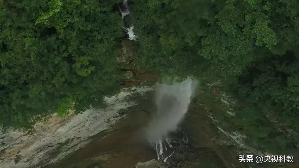 鱼泉洞穴,会冒鱼的山洞是什么