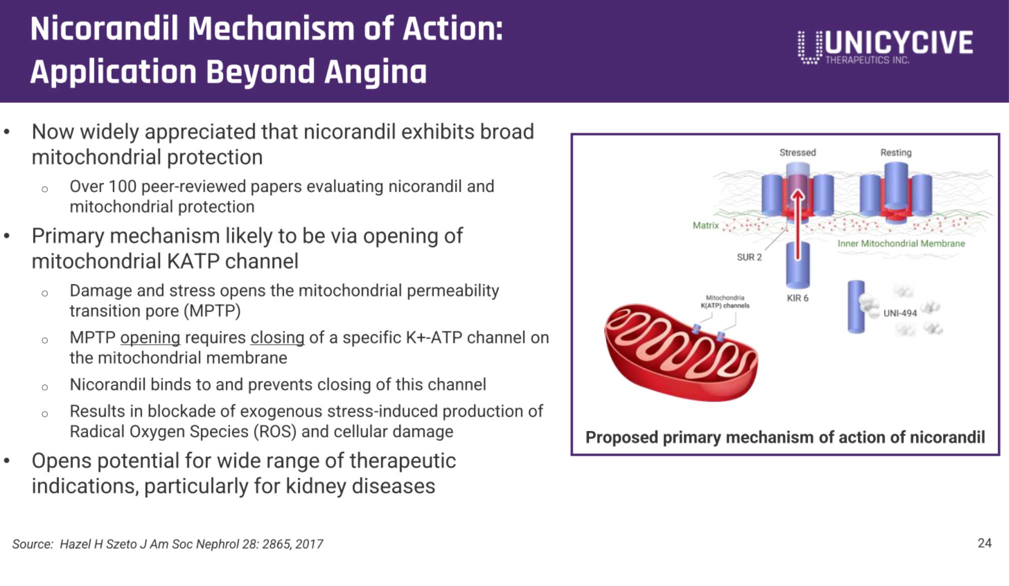 Unicycive冲刺纳斯达克:拟募资2766万美元路演PPT曝光