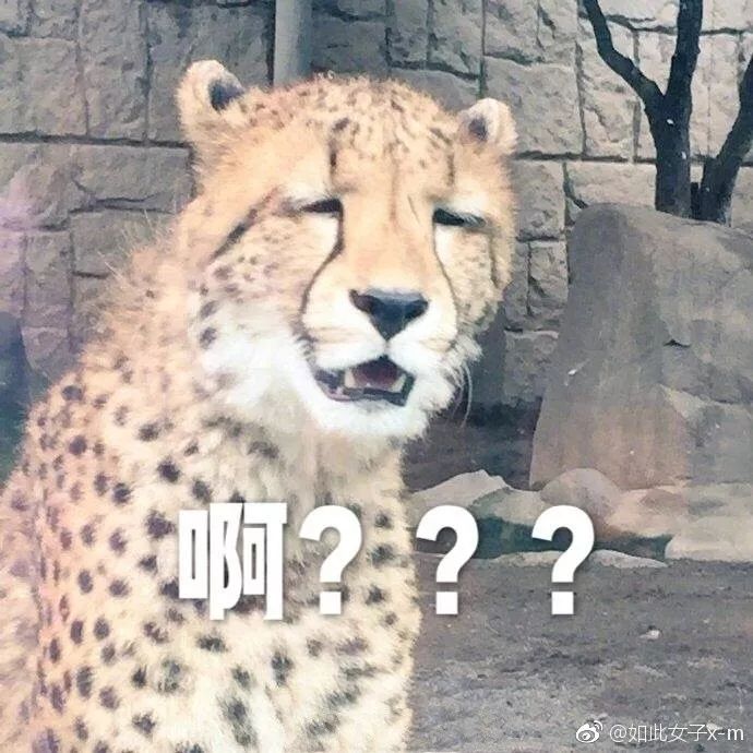 lollv联名有哪些,lv和英雄联盟联名的皮肤多少钱