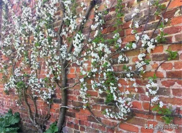 鍥壓鍒涙剰閫犲瀷鐩嗘櫙,鍥壓鐩嗘櫙鍒涙剰璁捐