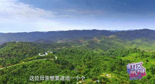 29岁不当记者，追随德国老公守护雨林，两女儿宛如天使，可不上学