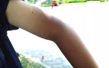 100全棉冰袖,双面绒冰袖