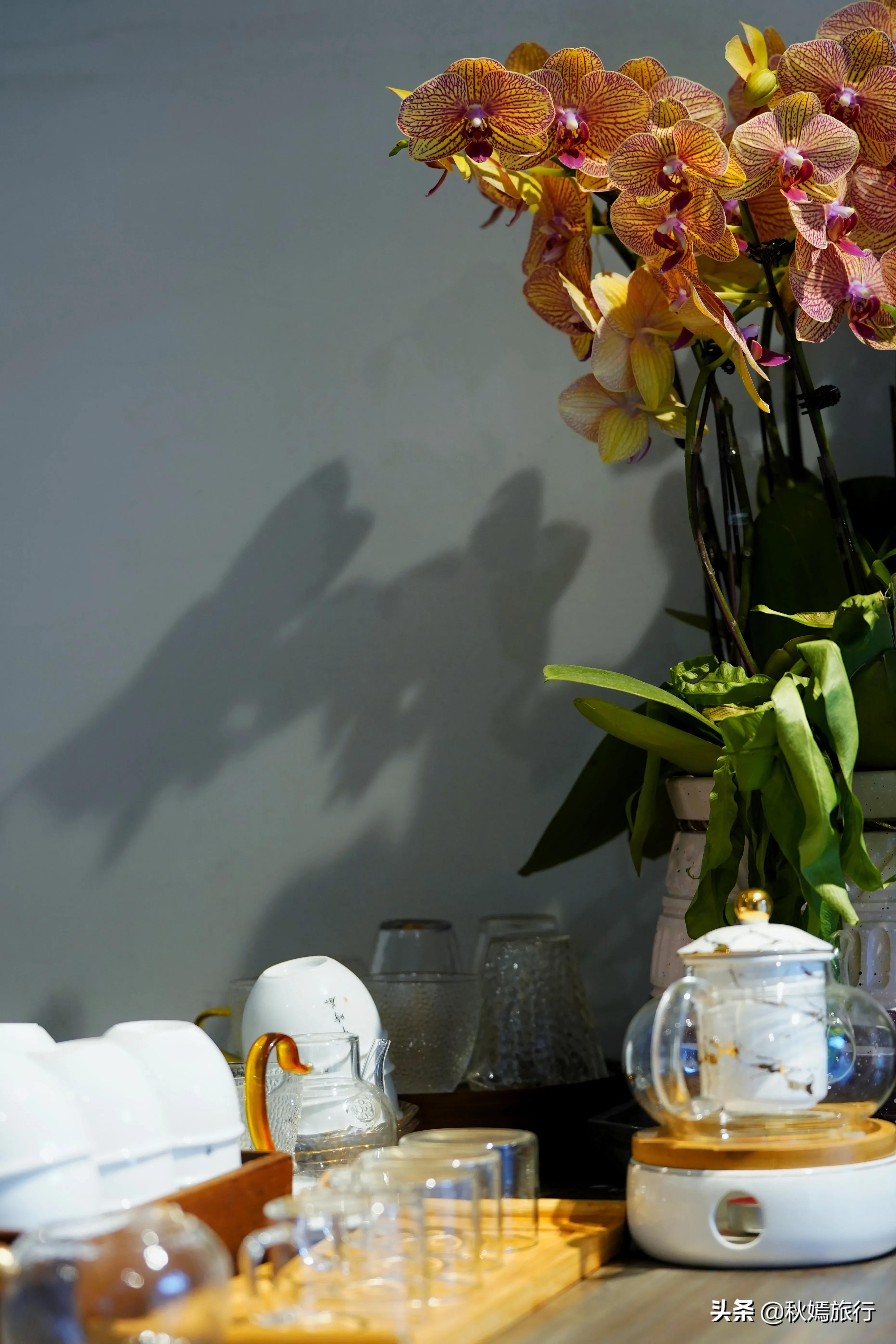 常熟茶室推荐,常熟一家雅致茶室