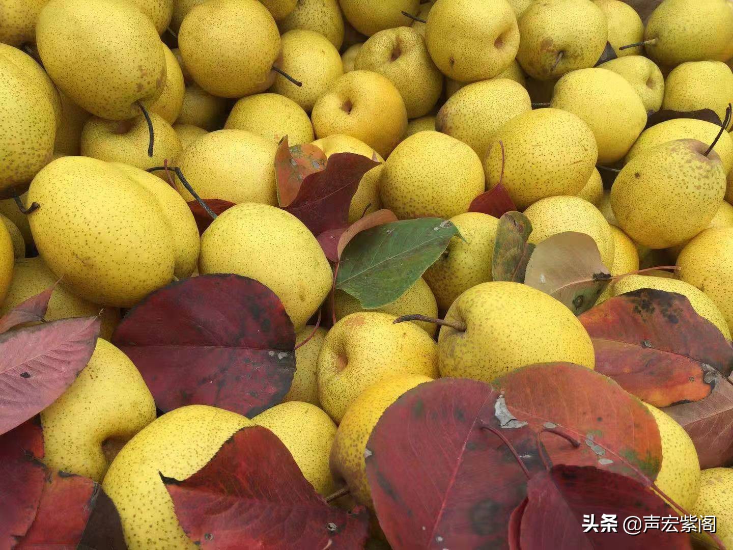 红楼梦给秦可卿开的药方的含义,红楼梦薛宝钗劝贾宝玉饮热酒