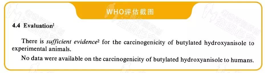 男人女人小孩咱都说过了,今天来说说这个重要家庭成员