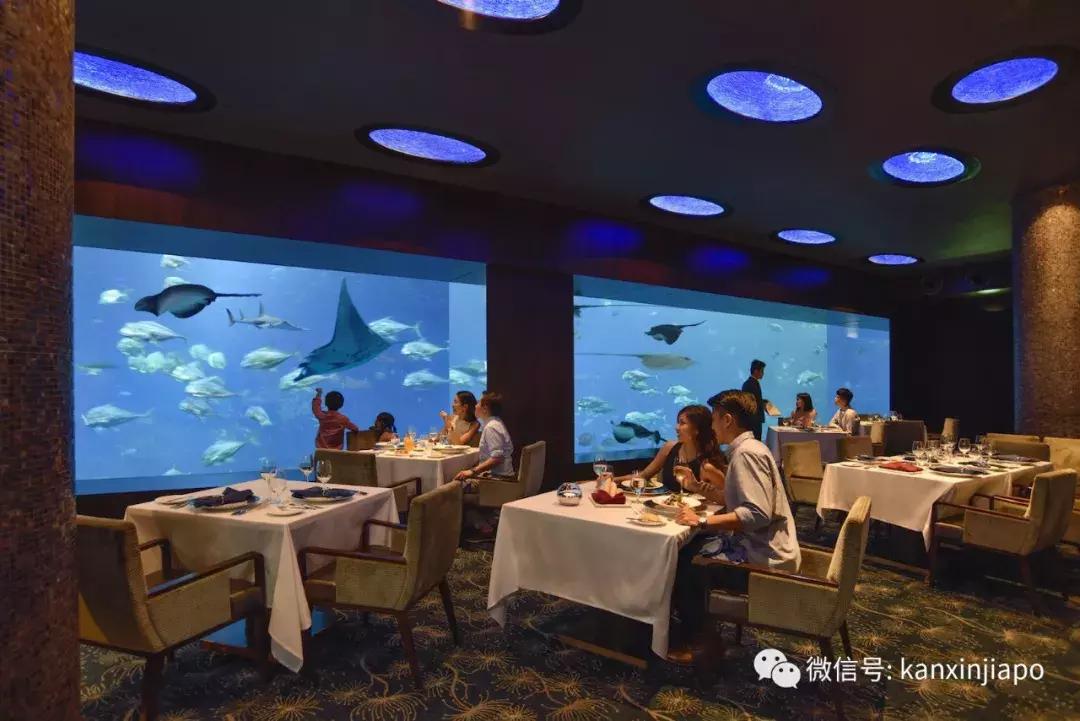 圣诞好玩活动,如何玩转圣淘沙岛