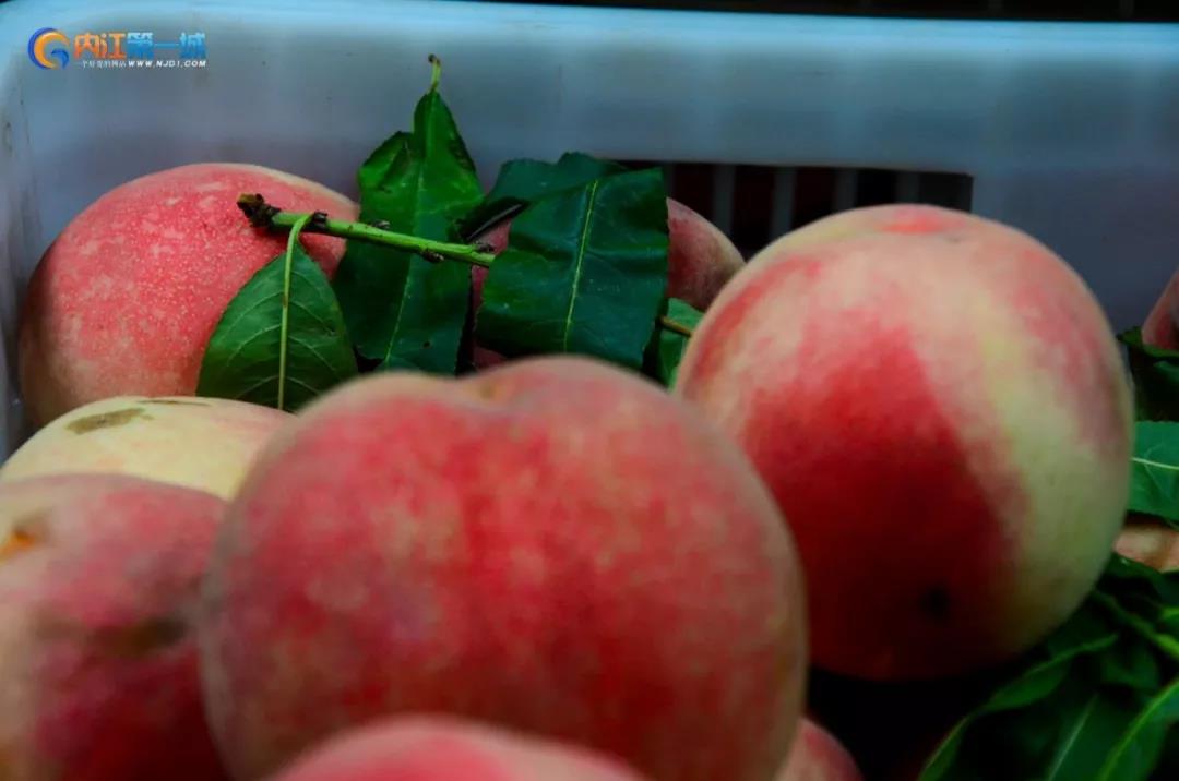 四川内江有哪些水果批发市场,内江最近的水果市场