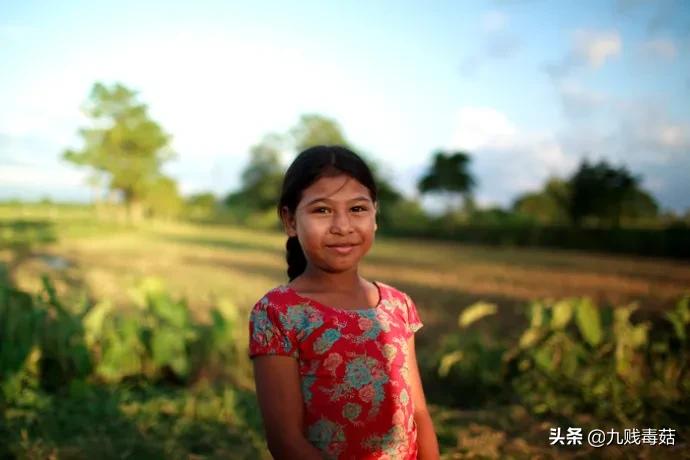 小说续集,小说续写平台