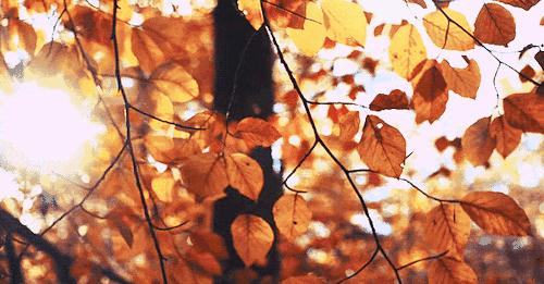 不二温泉到底值得去吗,不二温泉永顺