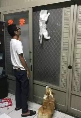 有纱窗为什么家里总有蚊子,有防盗网的房间窗户防蚊纱窗