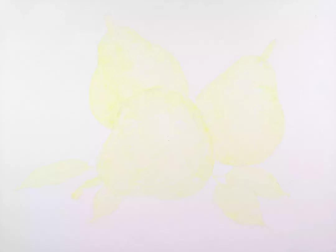 香梨彩铅画,彩铅肉肉的画法