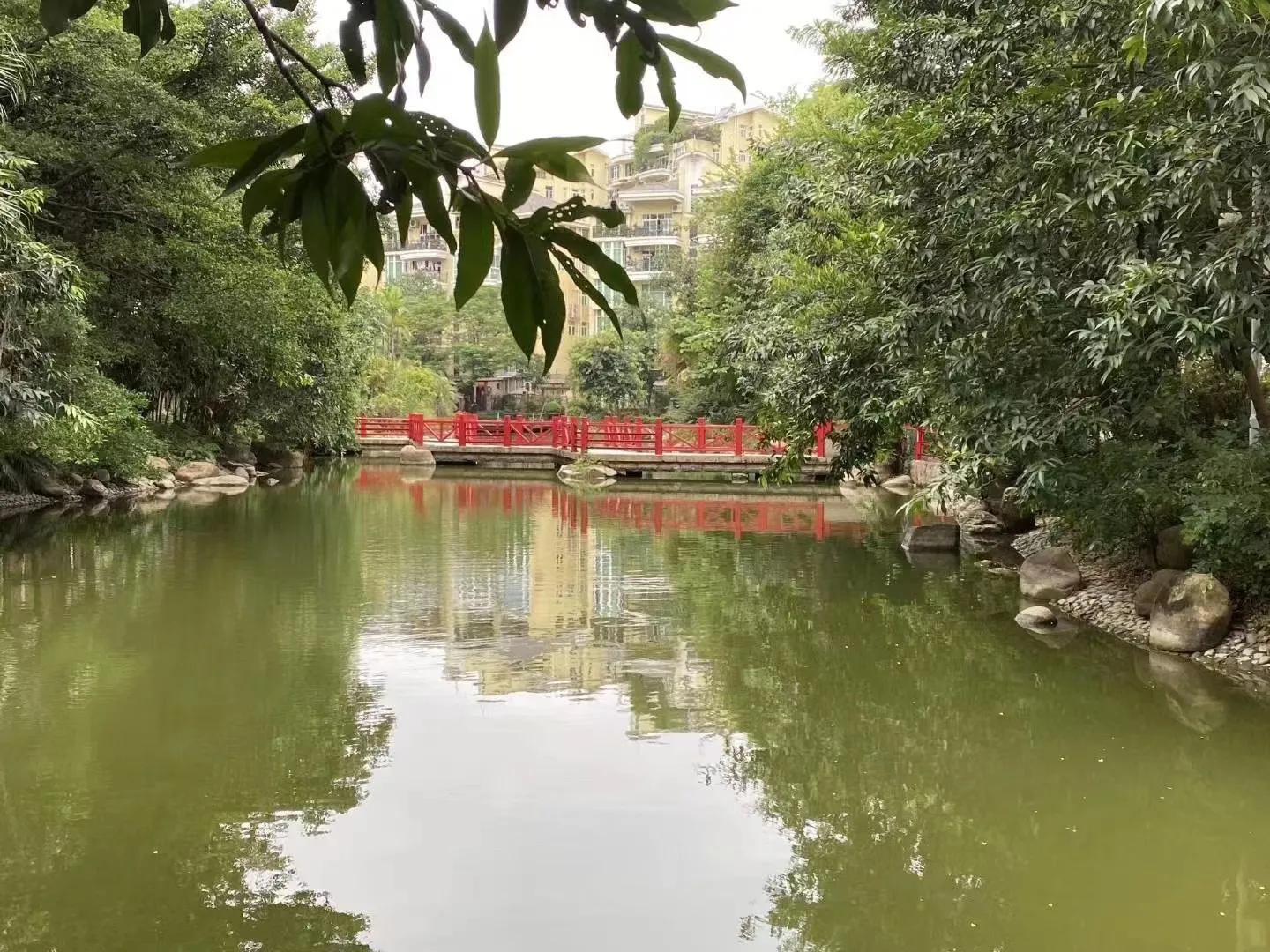 广州天河华南御景园二手别墅,广州华南御景园属于哪个社区