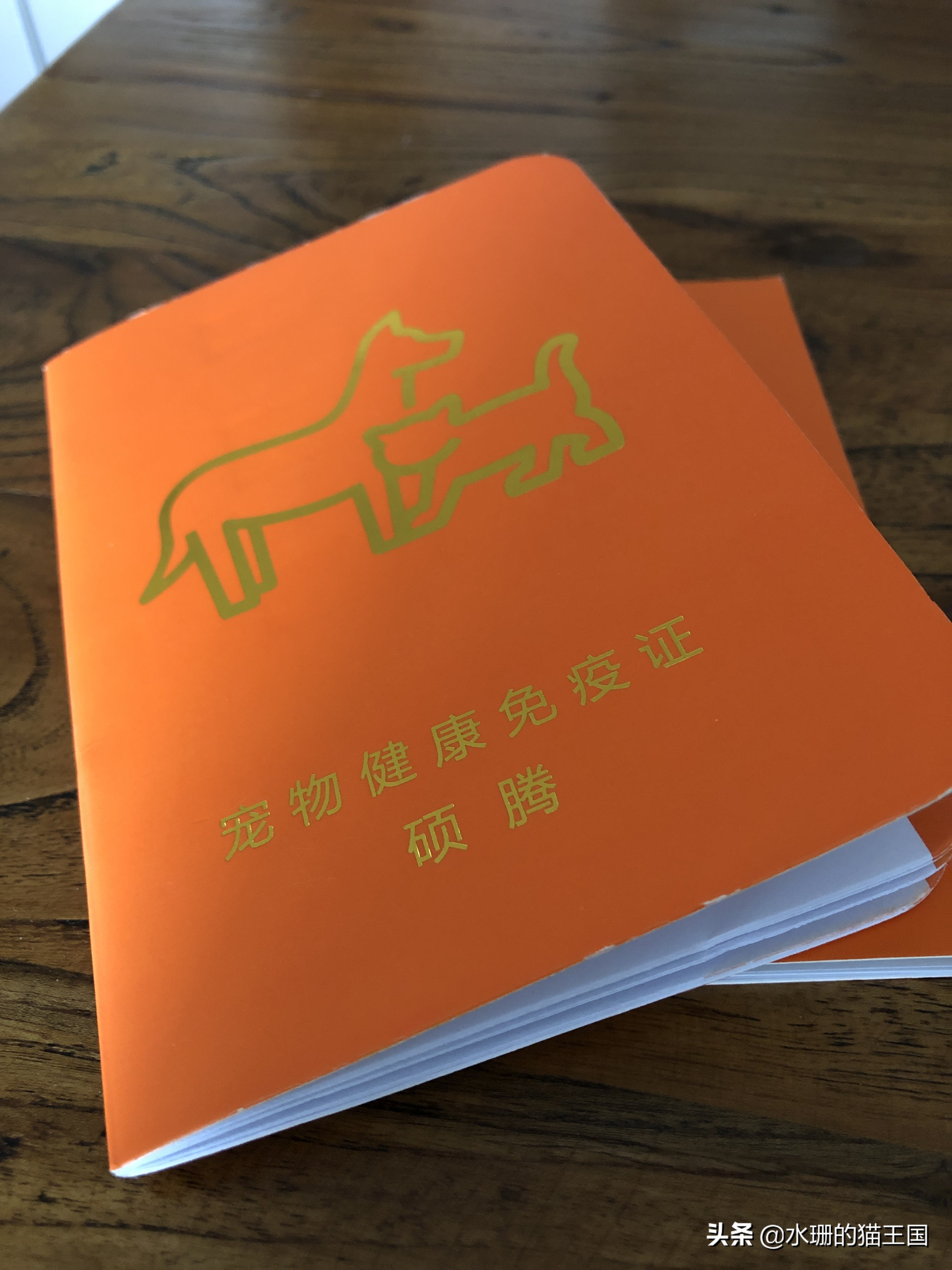 猫咪体外驱虫注意哪些事项,猫咪体外驱虫了要注意什么