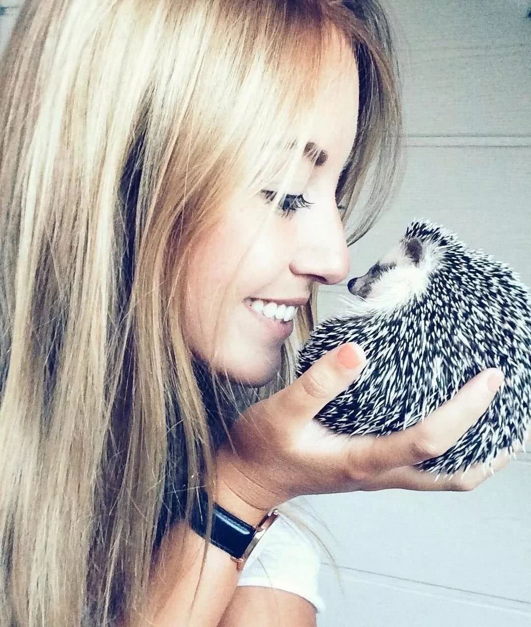 网红小刺猬——过成了你最想要的样子。