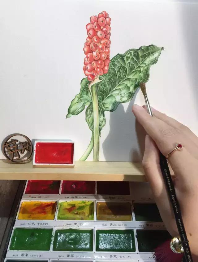 水彩密密麻麻的树叶怎么画,水彩画教程入门叶子