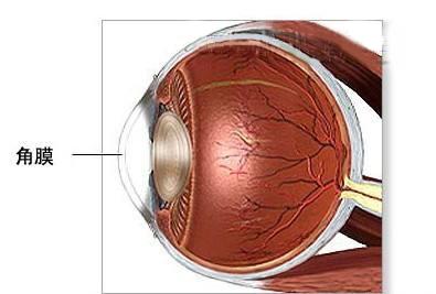 儿童角膜炎注意事项,急性角膜炎会传染吗要注意什么
