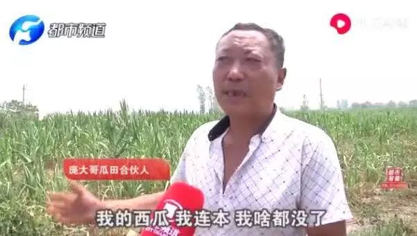 农民西瓜被偷反倒赔300元,瓜农西瓜被偷怎么赔偿