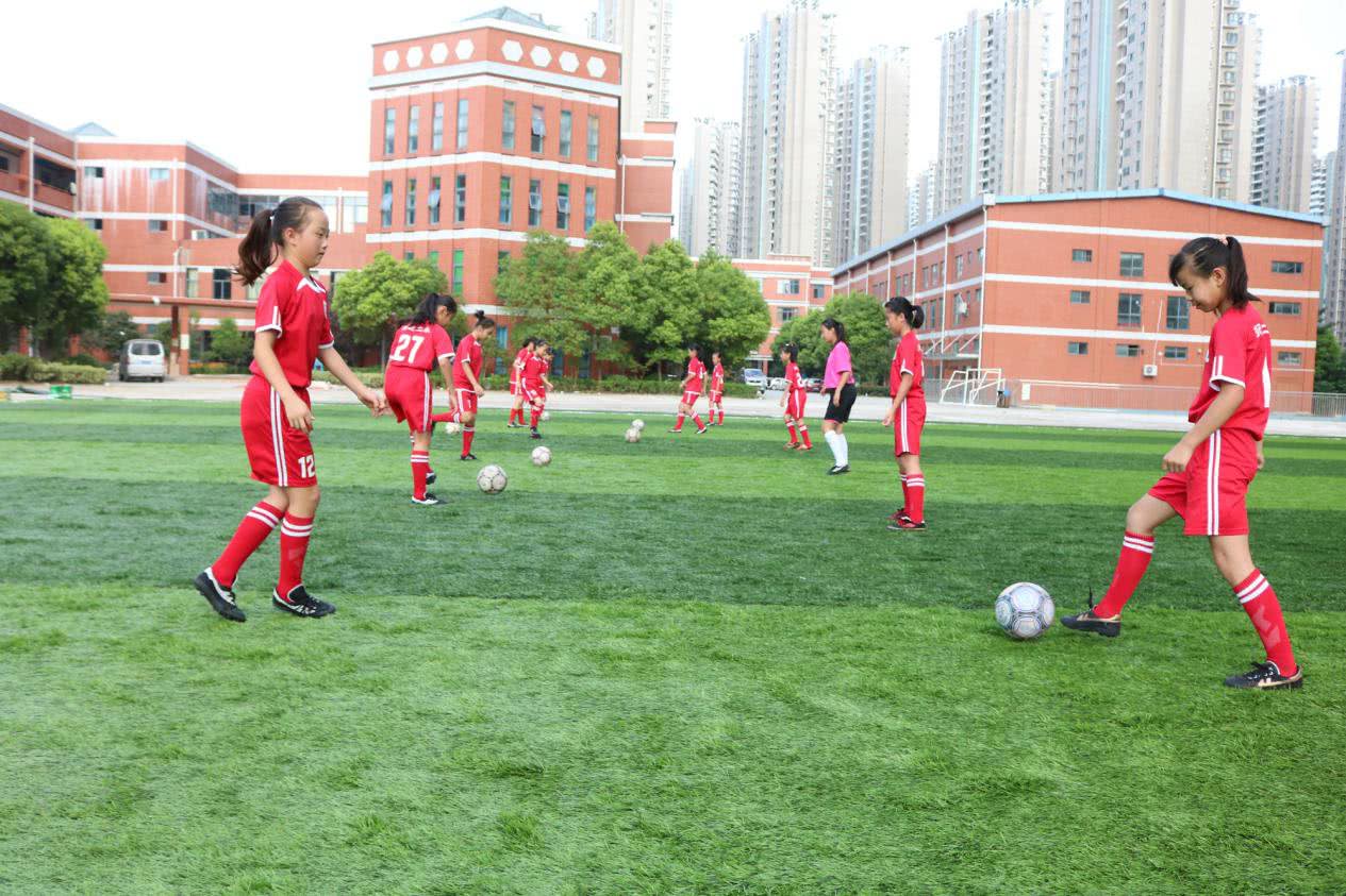 合肥师范附小二小*党**支部书记、校长孙朝莲：怀揣梦想智慧前行