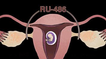 男用避孕药通过试验，网友：叫刘阳打针，半藏森林你不用吃药了