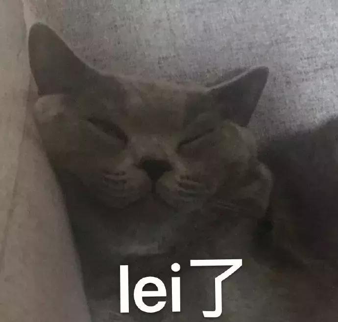 太平鸟登时装周,太平鸟中国国际时装周