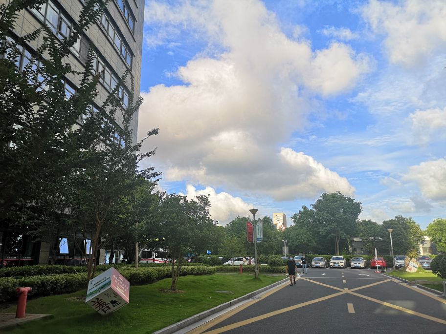 长成圆圈形状是癣还是湿疹,线状苔藓是什么原因造成的