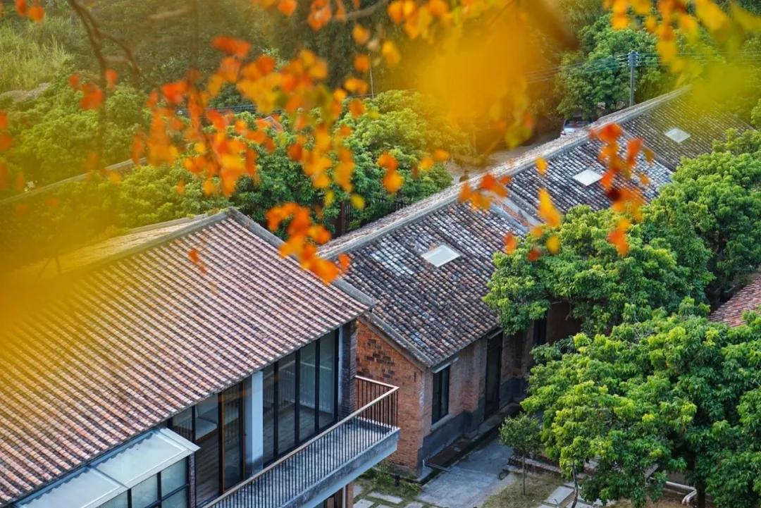 菜吧生意好做吗,菜吧民宿是真的吗