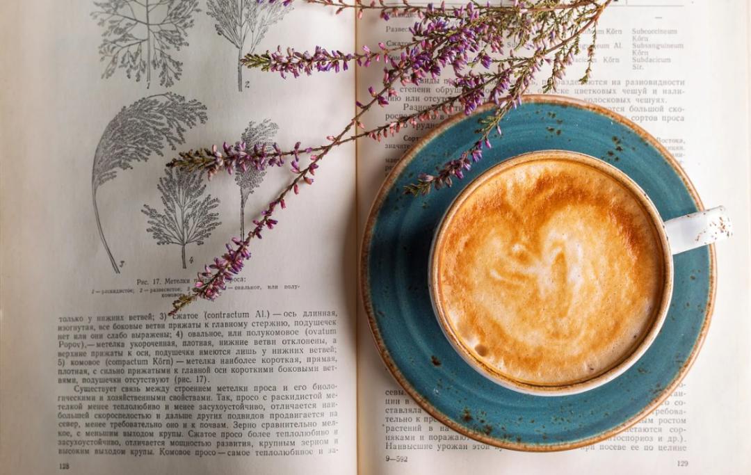 2021年考研英语大纲词汇完整版,2024考研英语2200核心词汇