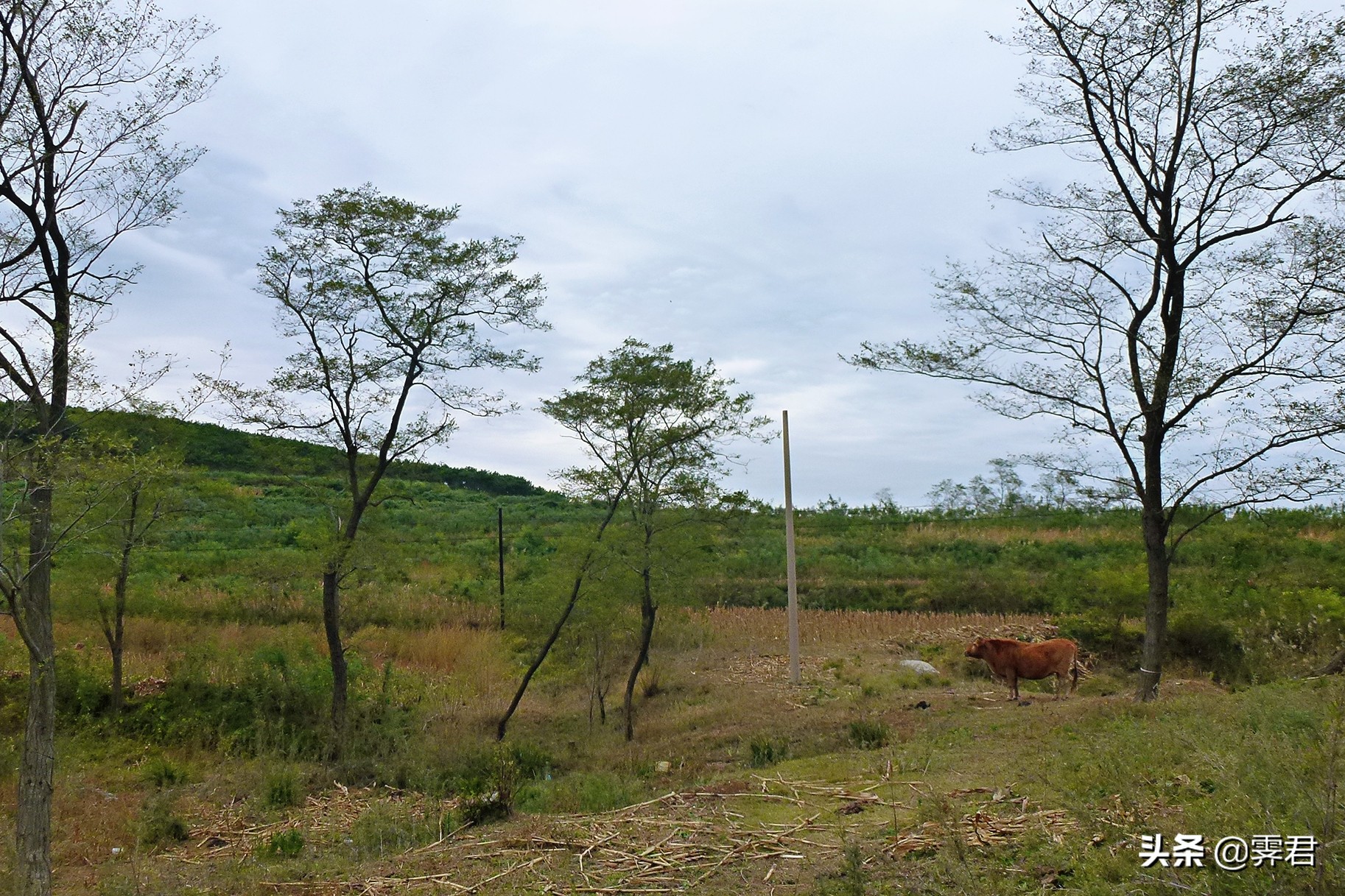 大连皮口港当天往返攻略,大连皮口港坐船攻略