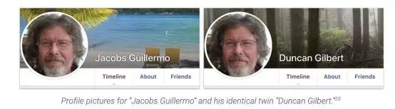 美国两大社交媒体巨头同时封杀“*轮法**功”虚假账号