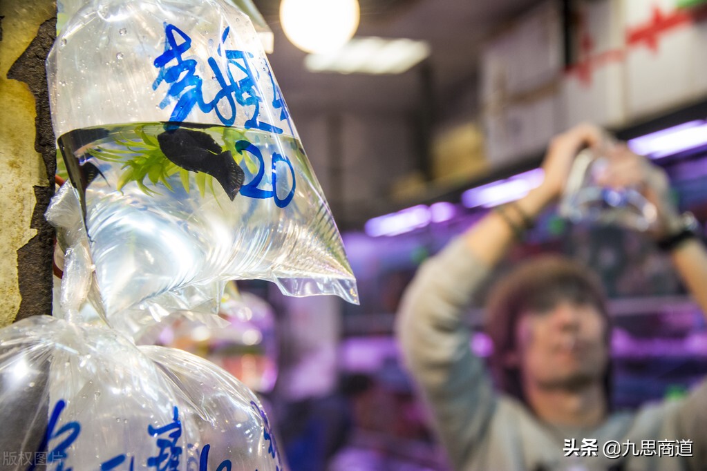 鱼缸清洗上门服务怎么推广,成都鱼缸上门清洗