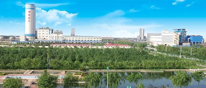 2021金正大复合肥营业额,金正大复合肥2023年总销量