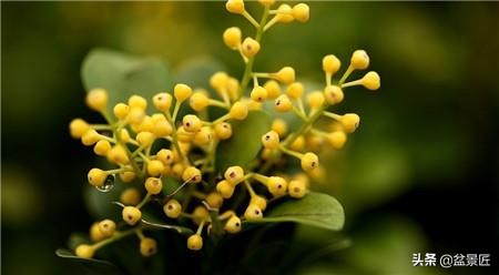 天气转凉好好照顾身体,冬天米兰可以晒太阳吗