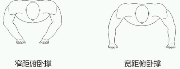 男性因肥胖导致胸部突出,男健身胸型下垂怎么矫正