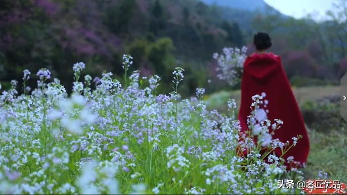 李子柒火了的视频,李子柒现身网红节却暴露真实颜值