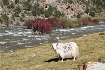 玉树千年古村,青海名胜古迹景点介绍玉树