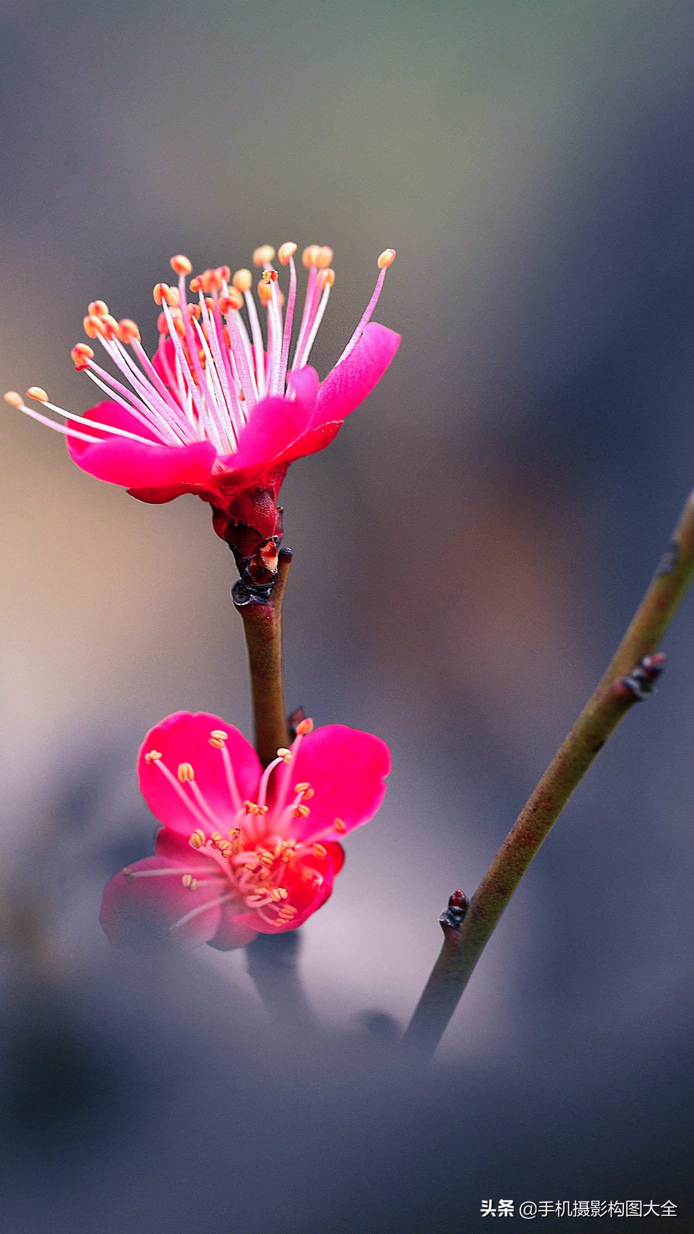 把你的相片做成动态图片,试试你的照片动漫效果