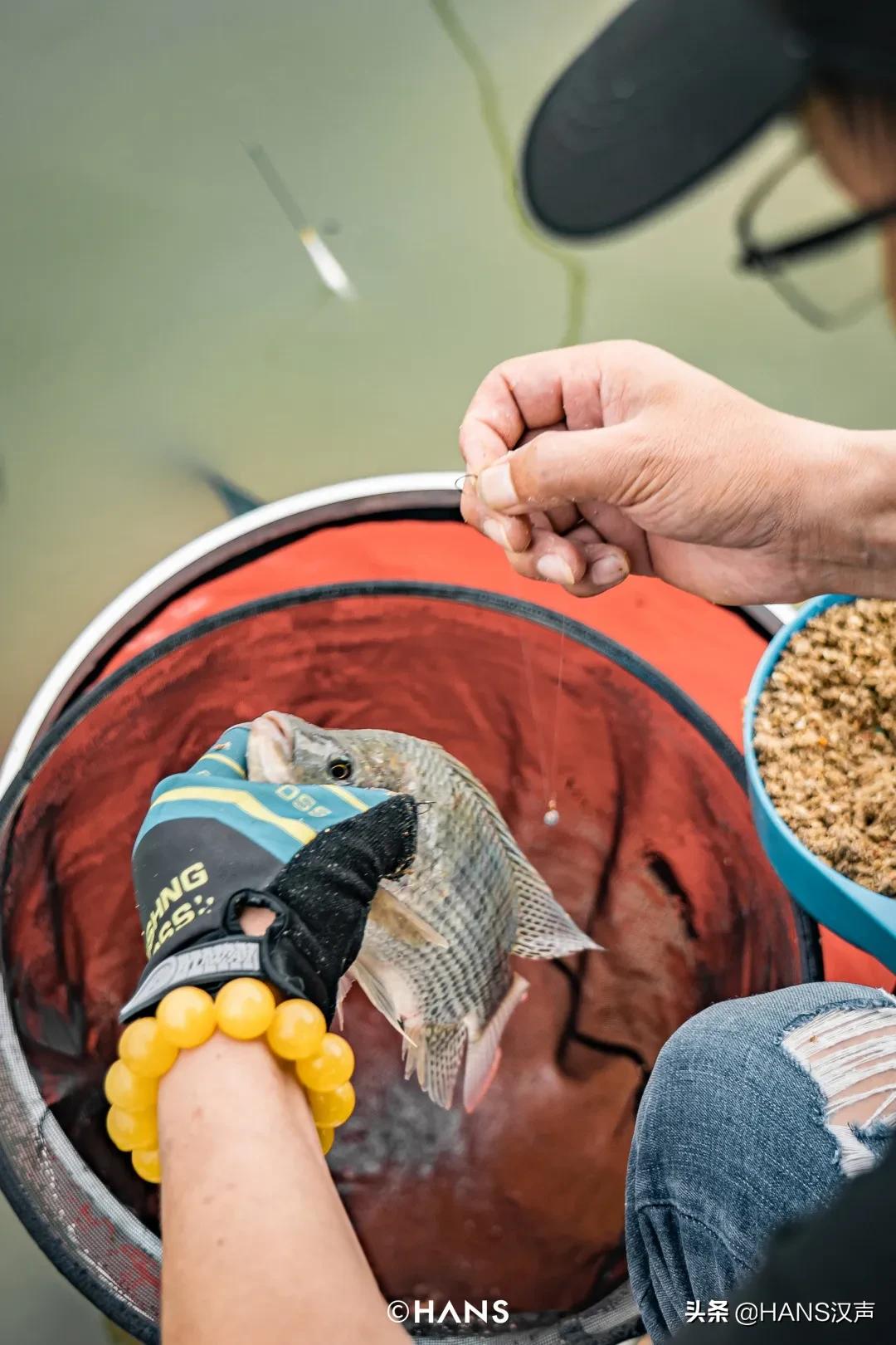 天元邓刚在湖北枣阳钓鱼的视频,天元邓刚钓鱼最新视频现场