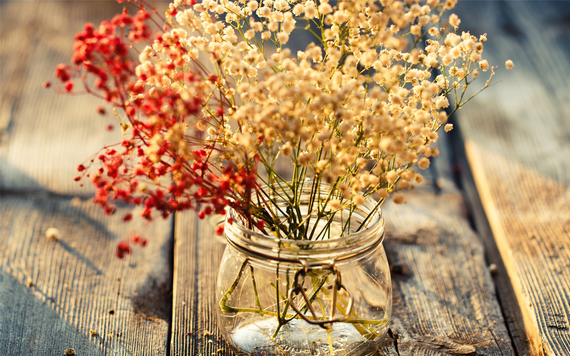 下半年容易脱单的星座,2019年有大出息的星座