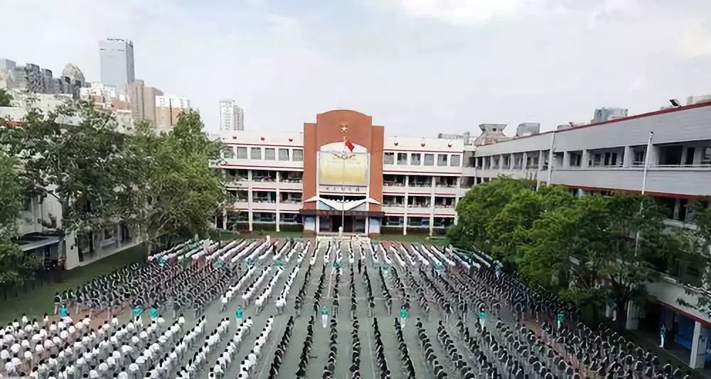 金水区小学排名,金水区23所知名小学解析