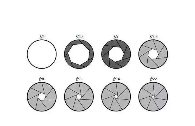 新手玩单反相机镜头怎么配,新手应该买哪种单反相机