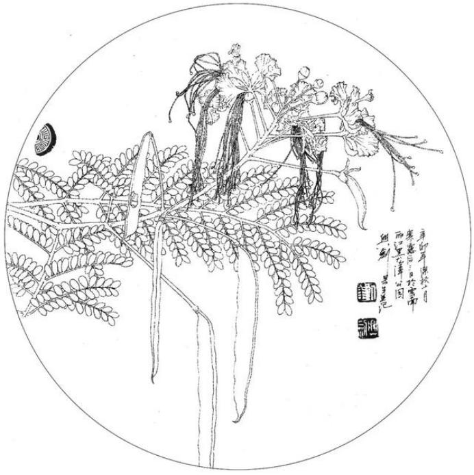 圆面白描作品古风,书法圆面白描作品集